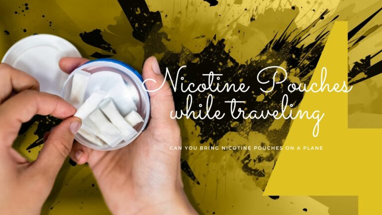 Can you bring nicotine pouches on a plane?