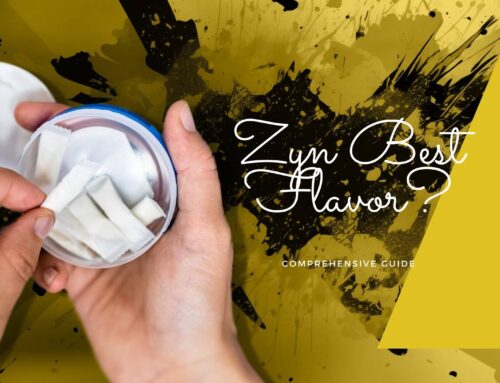 What is the Zyn Best Flavor?