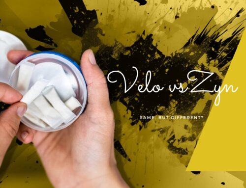 VELO vs Zyn: Same, but Different?