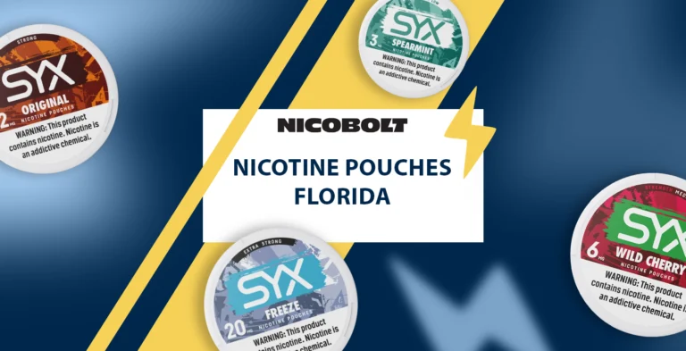 Nicotine pouches regulations in Florida